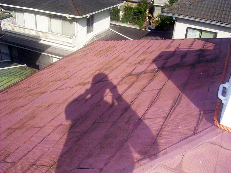 example-roof_007_before